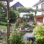 Zeleny Strom 3*