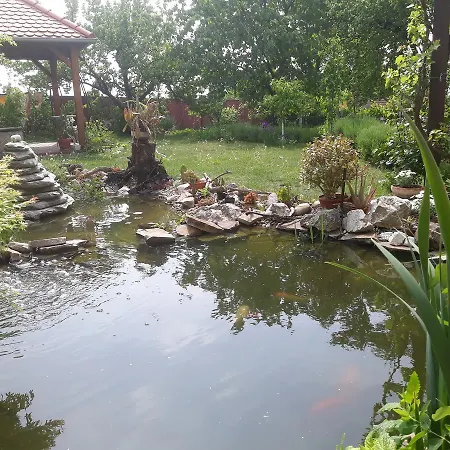Zeleny Strom Konukevi