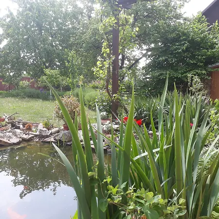 Zeleny Strom Guest house 3*