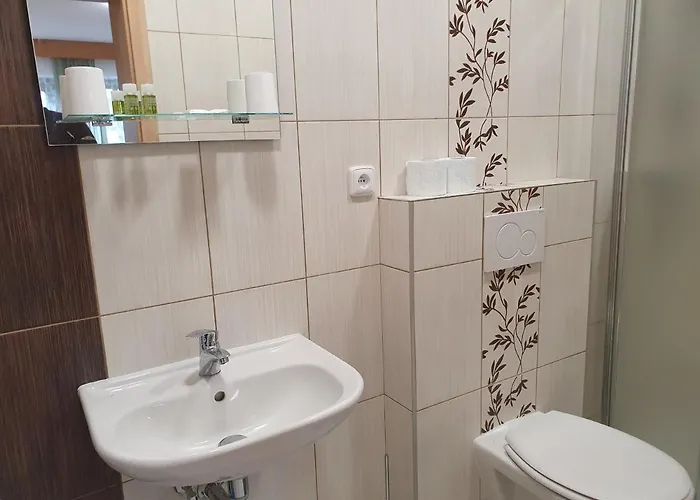 Zeleny Strom Pensionat 3*