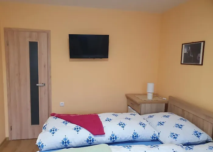 Pensionat Zeleny Strom 3*