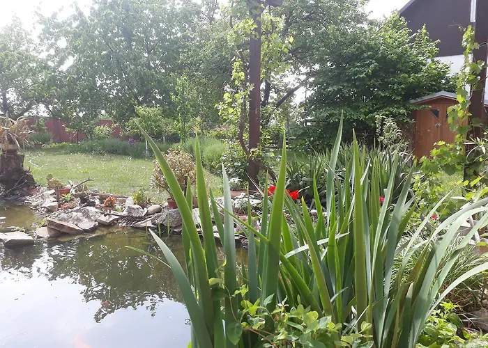 Zeleny Strom Pensionat 3*